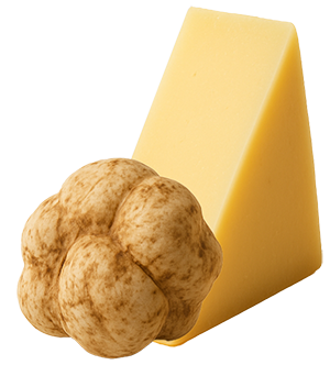 Солонка